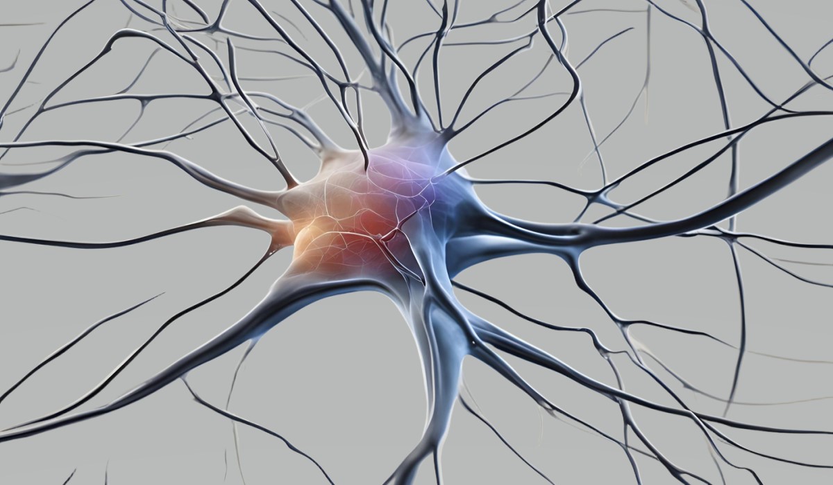 Center for Neural Cybernetics